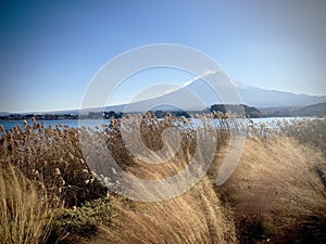 Beautiful view of Mount Fuji and lake kawaguchiko at Oishi park, Japan