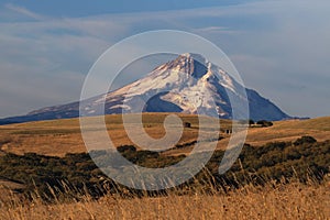 Beautiful view of Mount Hood, Oregon