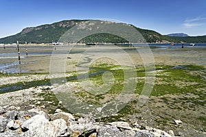 Beautiful view of the mountain across the ocean from Cowichan Bay