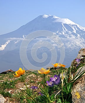 A beautiful view of Mountain Ararat