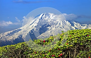 A beautiful view of Mountain Ararat