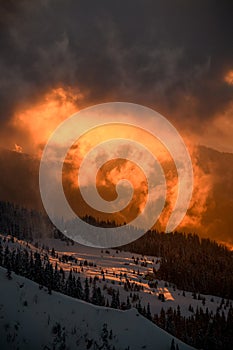 Beautiful view of mountain landscape with snow-cowered trees, glowing sunlit, during sunset.