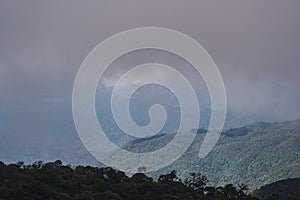 Beautiful view on the mountain and the mist in the forest