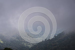 Beautiful view on the mountain and the mist in the forest