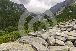 Beautiful view from the mountain trail to Ostrva. Tatra Mountain