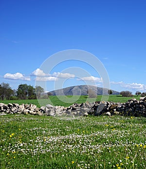 Beautiful view of the mountains