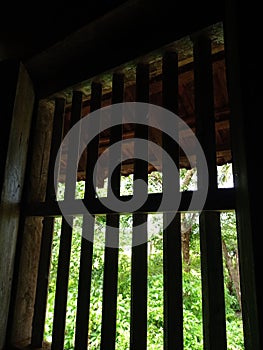 Beautiful view of nature from the window old house wooden window closeup photo nice background of green leaves