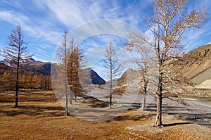 Beautiful view near Kurai Steppe,Altai Republic,Russia.