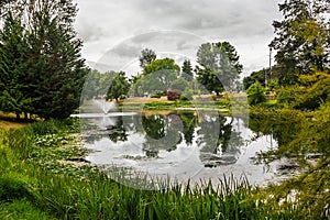 Lake Sacajawea Park in Kelso, Washington photo