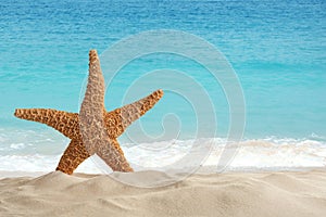 Beautiful view of ocean sand beach and starfish