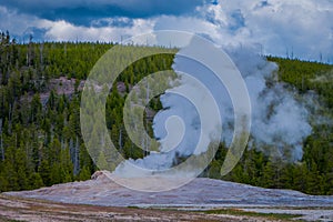 Beautiful view of old faithful Geyser Basin located in Yellowstone National Park, surrounded by vapor with a green