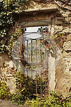 Beautiful view, through the old gate