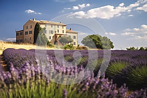 Beautiful view of old house in Provence on a bright sunny day with a lavender field in the foreground.Generative AI