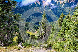 Beautiful view of the Olympic Mountain Range, Olympic National Park, Washington, USA