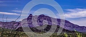 Beautiful View of Organ Pipe National Monument