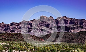 Beautiful View of Organ Pipe National Monument