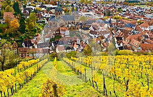 Beautiful view over the vineyards of Heppenheim