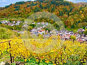 Beautiful view over the vineyards of Heppenheim