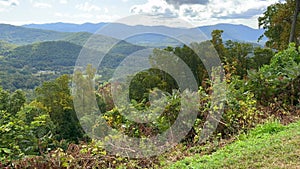 The beautiful view from an overlook of the changing leaves on the Blue Ridge Parkway