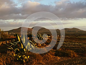 Beautiful view overlooking rusty red desert, distant mountains in Fuerteventura island, Canaries, Spain