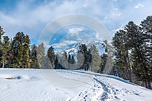 View of pahalgam valley, Pahalgam, Kashmir, India photo