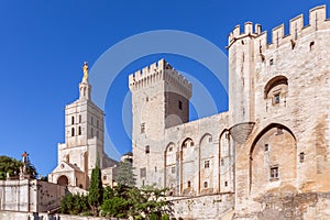 Beautiful view of the Palace of the Popes in the city of Avignon and Cathedral Of Our Lady of Doms photo