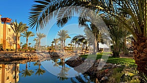 Beautiful view of palm trees at sunset in Soma Bay, Hurghada, Egypt