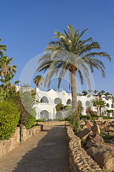 Beautiful view of palm trees, white buildings and stone path at tropical beach resort town Sharm El Sheikh, Egypt