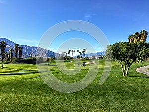 A beautiful view of a par 4 surrounded by mountains and palm trees in the background on the desert oasis of Palm Spri