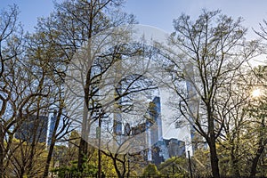 Beautiful view from the park through the branches of spring trees to the skyscrapers of Manhattan.
