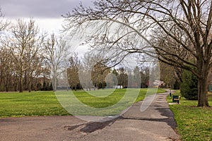 Beautiful view of a park with a green lawn, blooming magnolia trees in early spring against a cloudy sky.