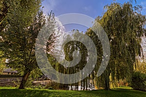 Beautiful view of a park with weeping willow trees with fallen branches on the river Zwyn in Bruges