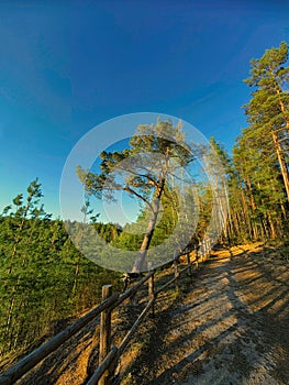 Beautiful view of a park with a wooden fence captured on a sunny day