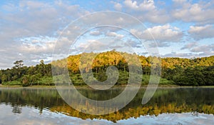 Beautiful view of pine tree reflection in a lake