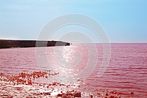 Beautiful view of pink lake