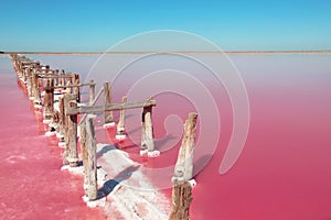 Beautiful view of pink lake