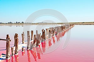 Beautiful view of pink lake