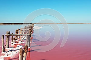 Beautiful view of pink lake