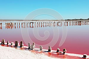 Beautiful view of pink lake