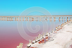 Beautiful view of pink lake