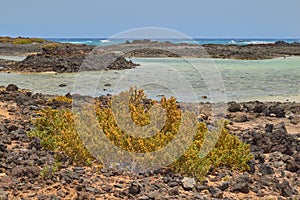 Beautiful view of the sea of crystal clear water in Isla de Lobos, Fuerteventura photo