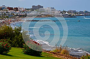 Beautiful view on Playa de Fanabe beach with blooming oleander bushes in Costa Adeje, Tenerife, Canary Islands,Spain. photo