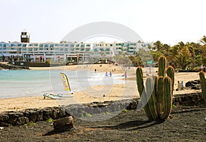 Beautiful view of Playa de las Cucharas beach with cactus in black volcanic ground, Costa Teguise, Lanzarote photo