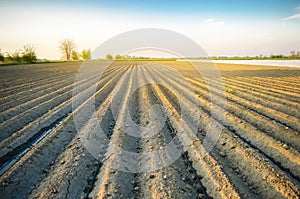 Beautiful view of the plowed field on a sunny day. Preparation for planting vegetables. Agriculture. Farmland. Soft selective