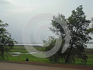 A beautiful view of nature