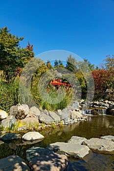 Beautiful view of pond with cascading waterfall and red bridge in Japanese garden. Public landscape park of Krasnodar or Galitsky