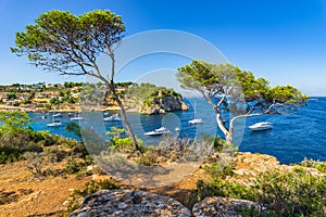 Beautiful view of Portals Vells Bay with boats on Majorca Spain