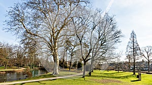Beautiful view of the Proosdij park with its pond, a dirt path and its leafless trees