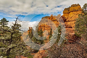 Beautiful view of the Red Canyon in the Dixie National Forest, Utah, USA