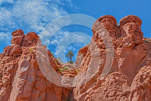 Beautiful view of Red rock formations in Northern Arizona, Yavapai County, Coconino National Forest, Arizona